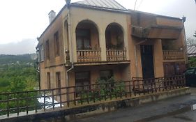 Hotel Shaumiani